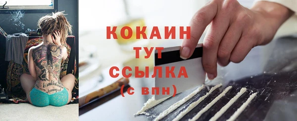 молекула духа Козловка
