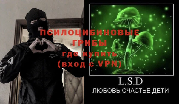 молекула духа Козловка