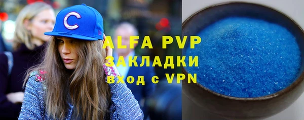 молекула духа Козловка