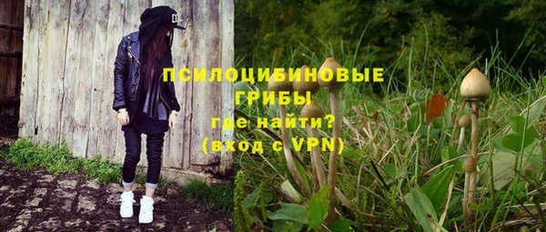 ALPHA PVP Козельск
