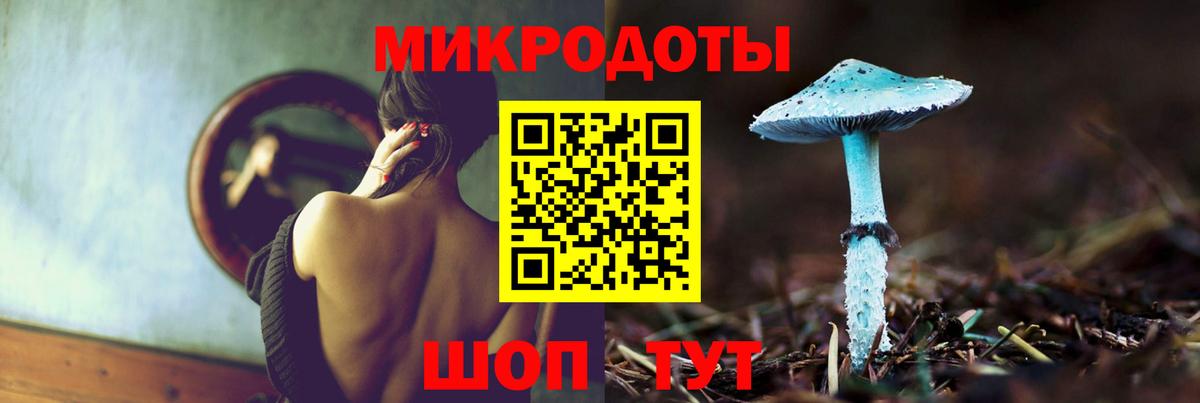 Галлюциногенные грибы Psilocybine cubensis  Вход с VPN  Галлюциногенные грибы Cubensis  Нефтекумск 