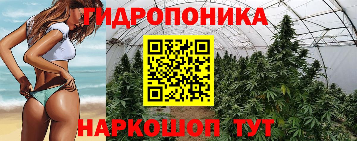 Каннабис тримм Нефтекумск